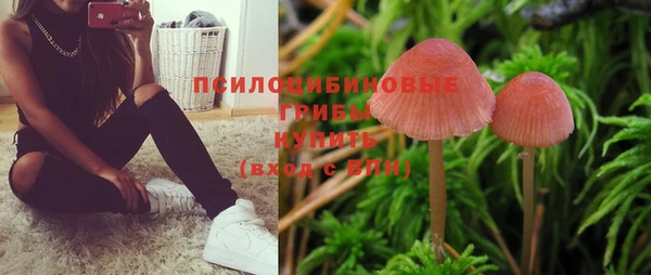 таблы Алексин