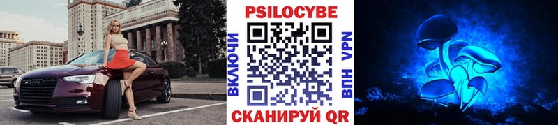 мориарти как зайти  купить  цена  Чаплыгин  Псилоцибиновые грибы Psilocybine cubensis 